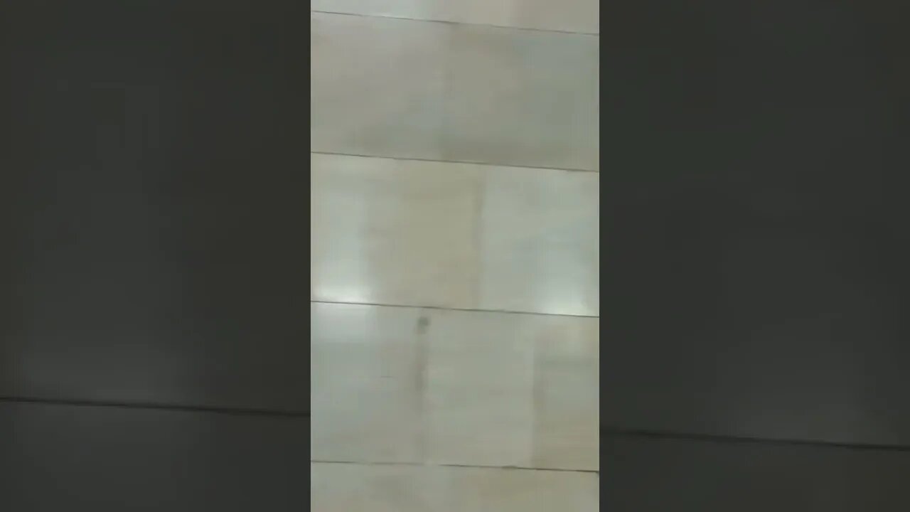 Partizan's Metro Moscow