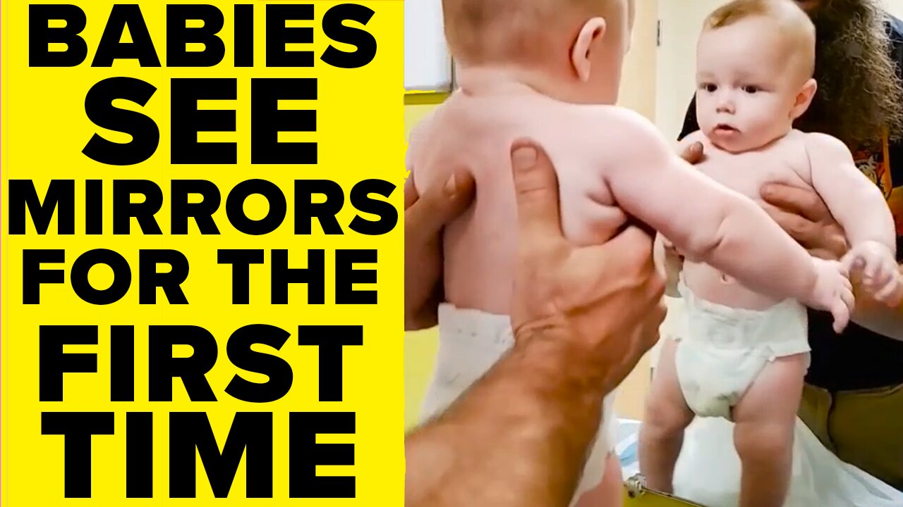 Babies See Mirrors For The First Time