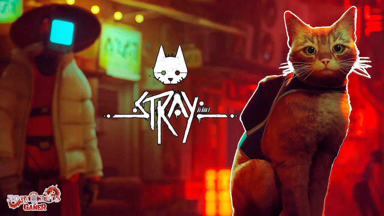 🔴STRAY Gameplay do inicio ao fim 🔴 PT Br 🔴 Sorteio de pc gamer 🔴!pc !salve !cmd !sorteio🔴