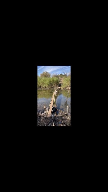 AZ: Illegal Invaders Rubbish Dump