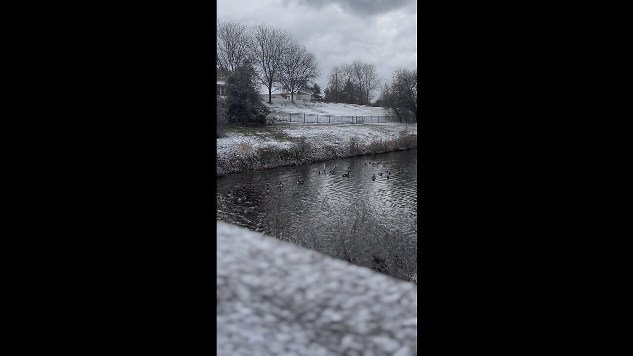 snow day with gooses 😍 #rumble