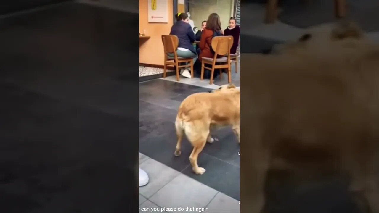 Can u do that again | #shorts | #viral | #funny