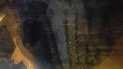 Vermit the Christmas Raccoon