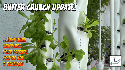 Butter Crunch Update!