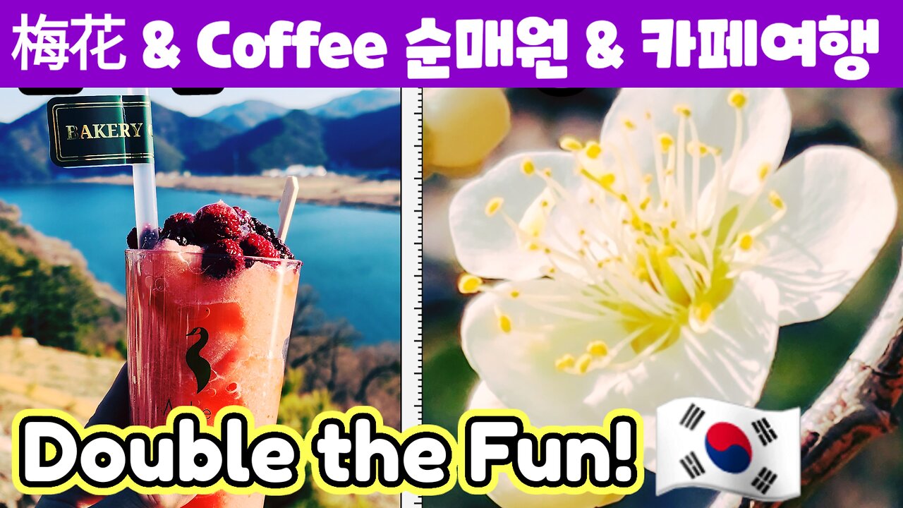 Sunmaewon, Double the Fun 봄의 전령사 Messenger of Spring