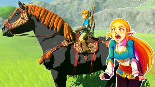 Zelda WANTS Ganon's HORSE