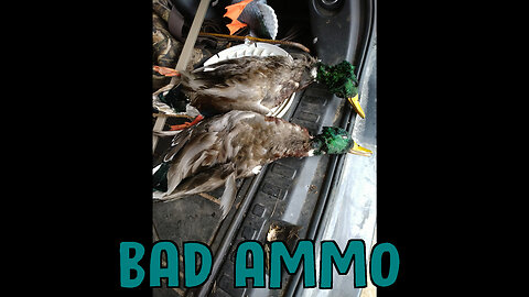 Bad Ammo