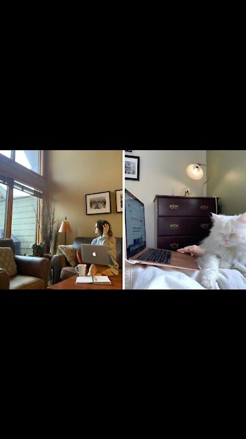 Canada's Millennials Are More Likely To Quit A Job If They Can't Keep Working From Home