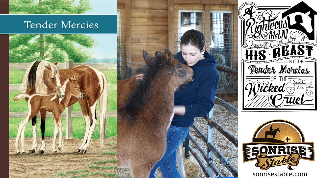 Sonrise Stable Book 4: Tender Mercies