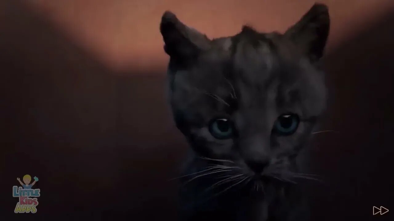 Little Kitten My Favorite Cat Play Fun Pet Care Game for Children