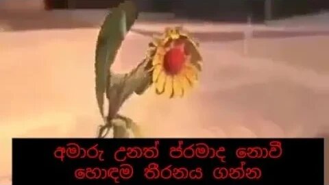 අමාරු උනත් ප්‍රමාද නොවී හොඳම තීරනය ගන්න 👊👊