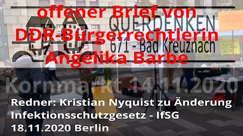 18.11.20 Berlin Änderung Infektionsschutzgesetz Querdenken