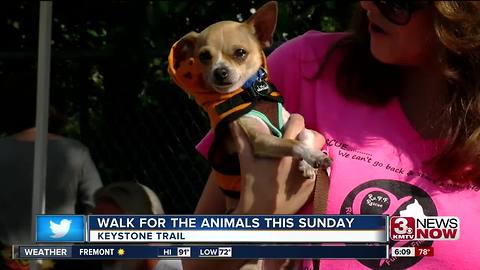 NHS hosts largest annual fundraiser Sunday