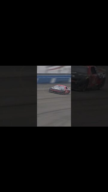 Cat Tragically Killed in NASCAR Cup Series Race at Fontana