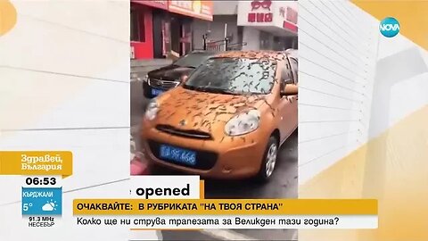 Дъжд от червеи вали от небето над Пекин