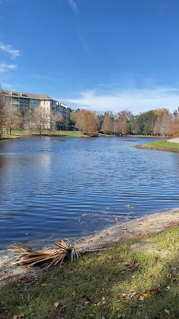 Beautiful spots in Orlando to Longboard
