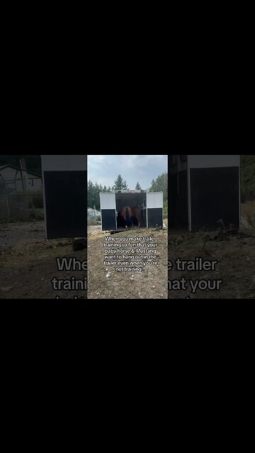Trailer Loading with Mustang & Young Horse