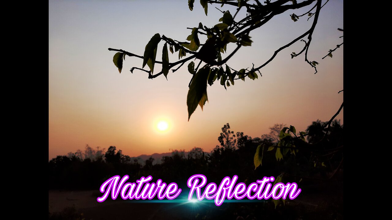 Nature Reflection