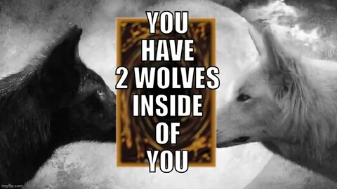 You have 2 wolves inside of you #short #yugioh