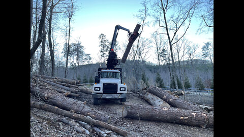 More Logs for the Woodmizer LT40 Wide to mill!