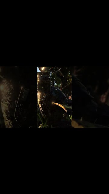 Warhammer: Battle of men and beasts