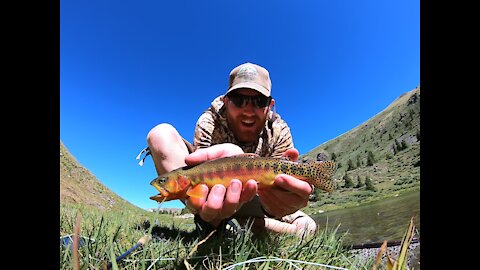 Fly fishing for gold.