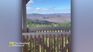 Beautiful blue sky day overlooking the Quebec wilderness