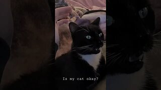 You okay Cat?