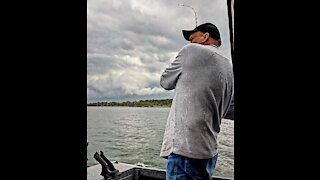 Oversized sturgeon caught in the Columbia River