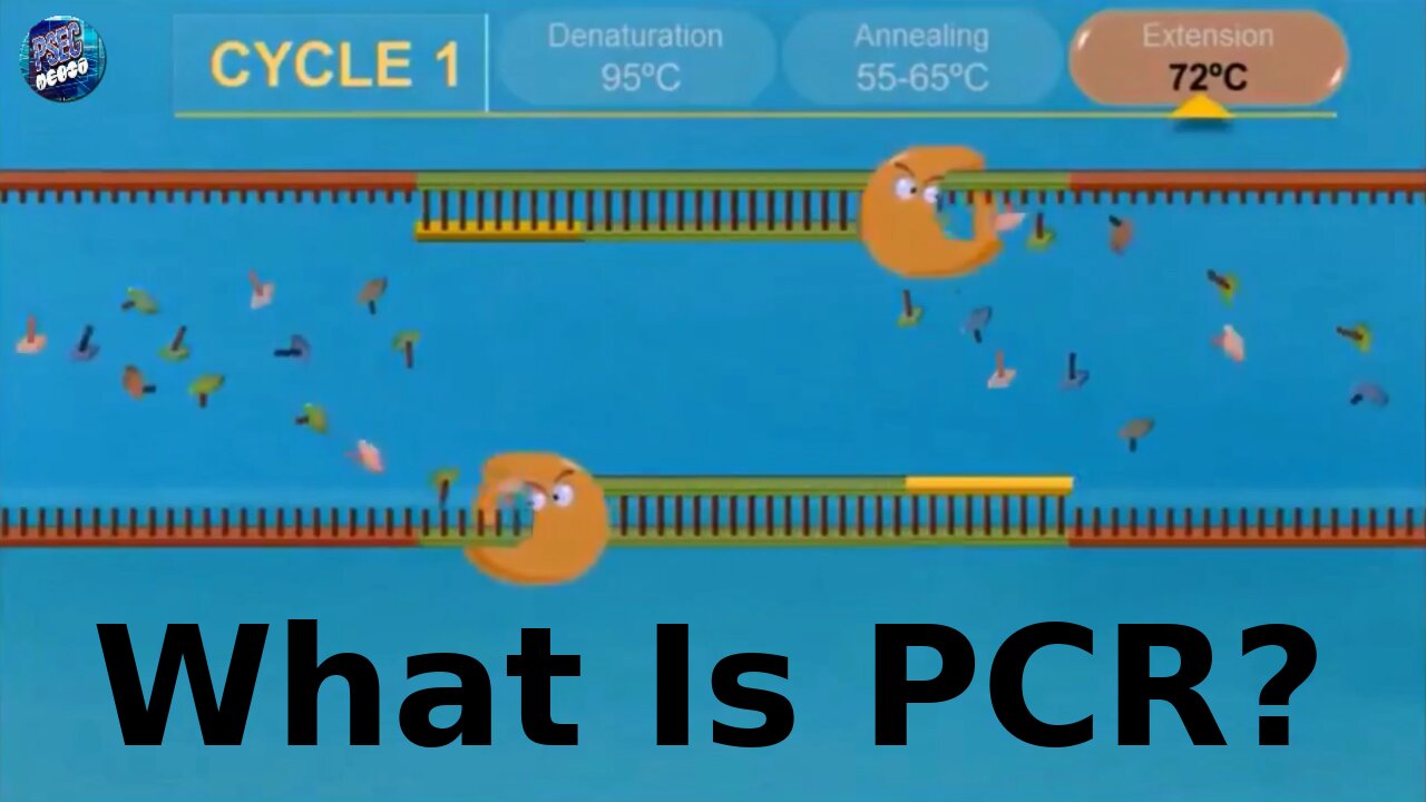 ThoughtCrime7 - What Is PCR? [hd 720p]