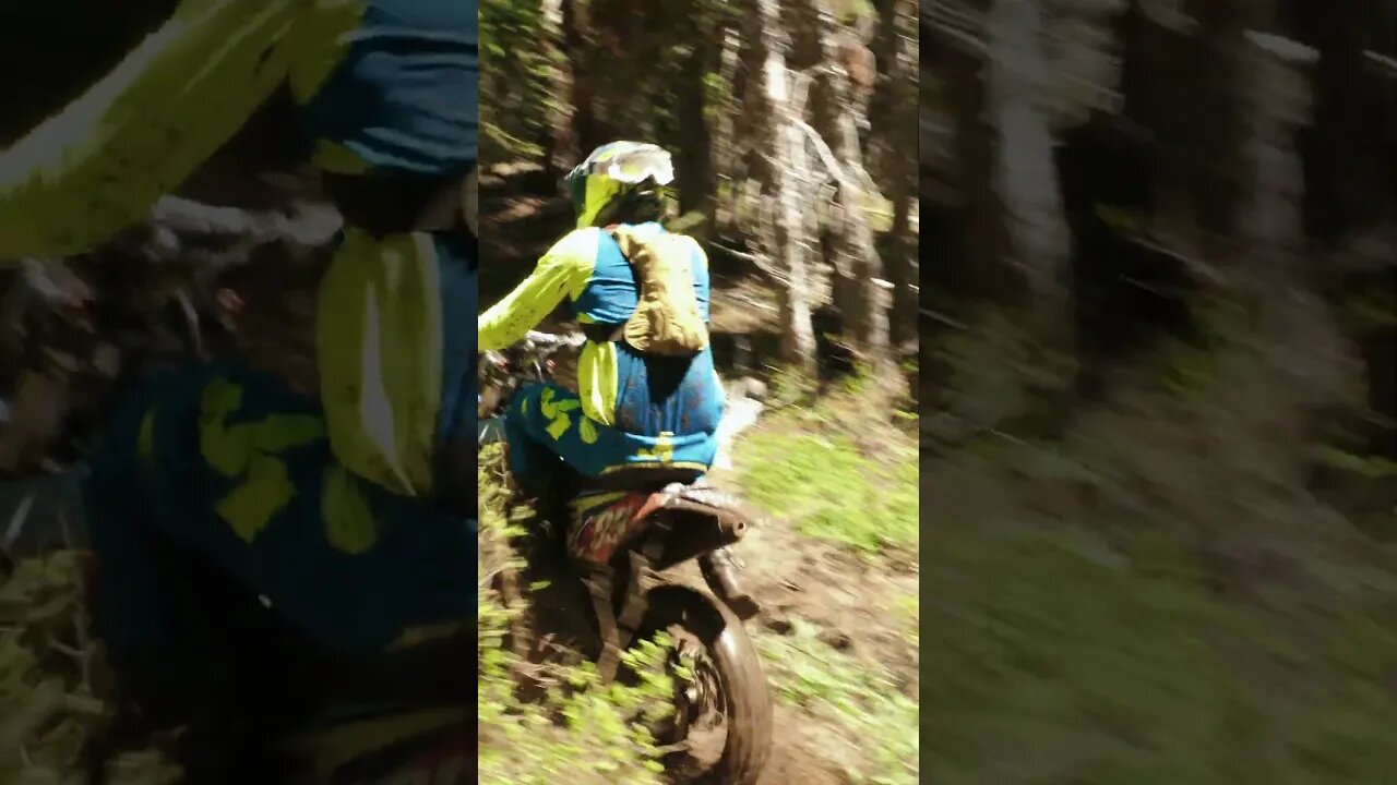 Donner Extreme woods section #short #hardenduro