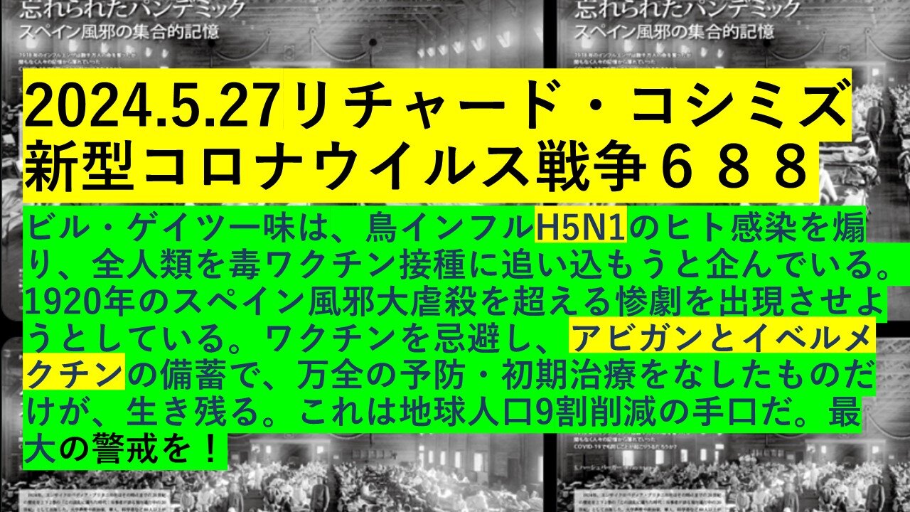 2024.5.27リチャード・コシミズ新型コロナウイルス戦争６８８