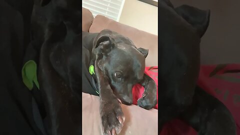 Listen to this with your eyes closed