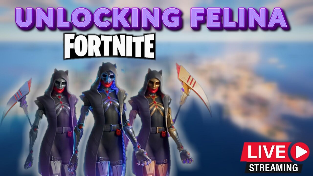 Completing Quest Levelling up Fortnite FELINA COMBO