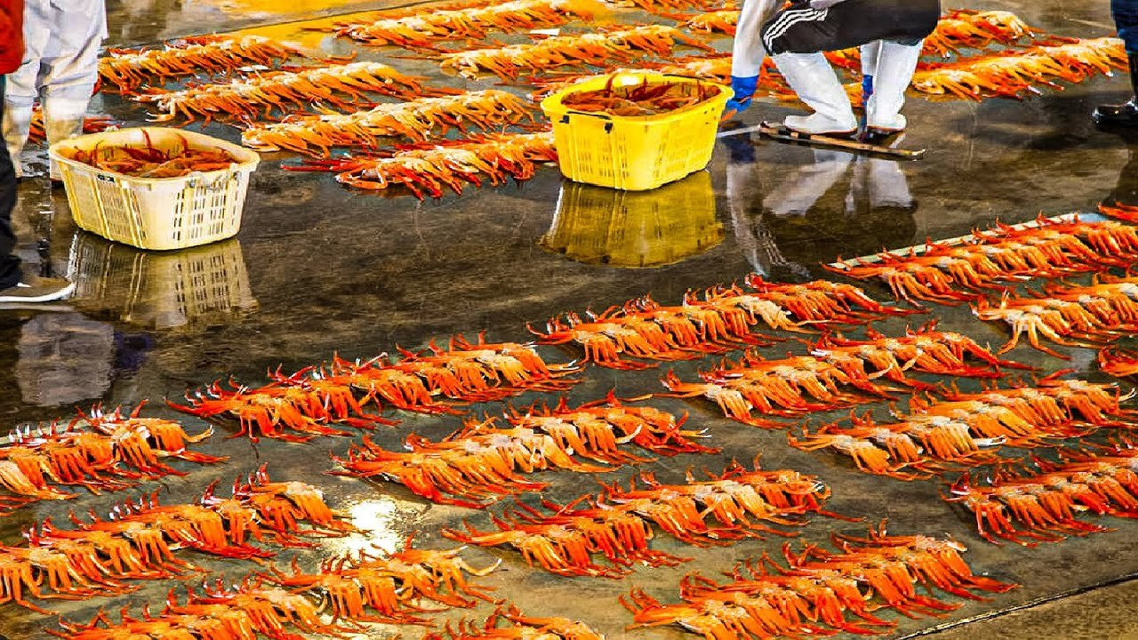 Producing Millions Tons of Seafood Every Day - Asian Seafood Processing Factory - Fish Processing