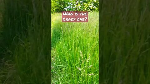 Nature vs Natural: Who you live next to that?