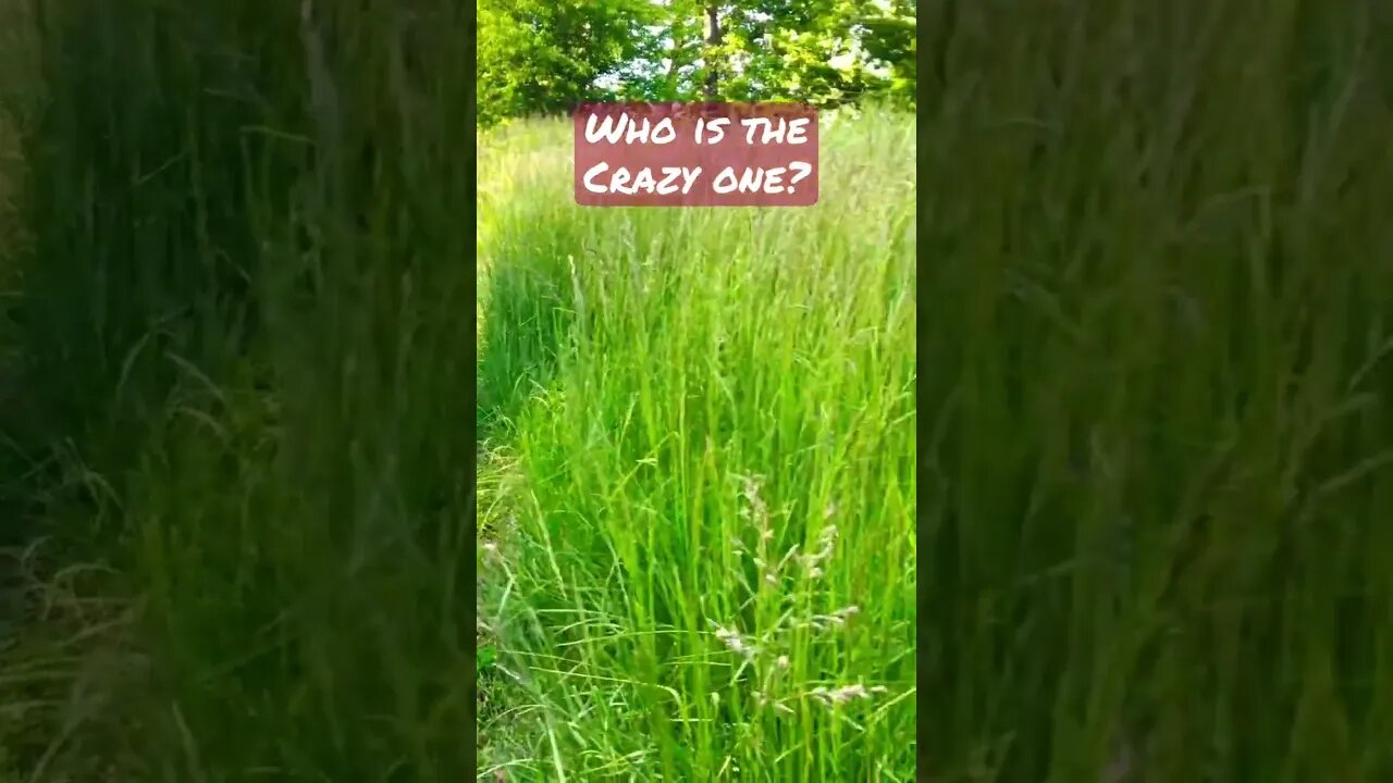 Nature vs Natural: Who you live next to that?