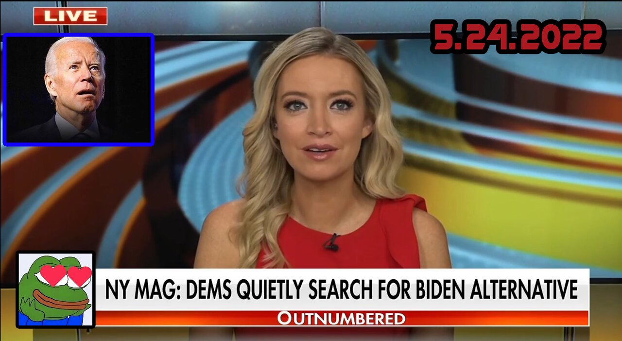 Dems reportedly looking for 2024 backup plan