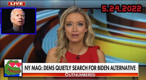 Dems reportedly looking for 2024 backup plan