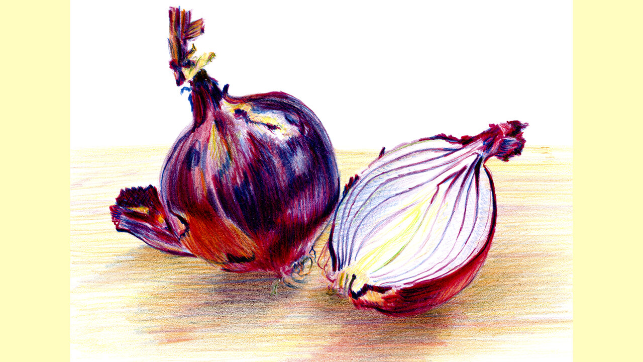 Colour Pencil Drawing of a Whole and a Halved Red Onion