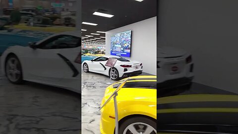 got paid to go to a car museum