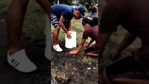 😂💩😂 Never trust your friends #shorts #short #shortsvideo #trending