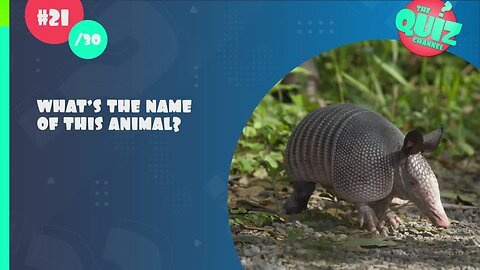 Animal General Knowledge Quiz