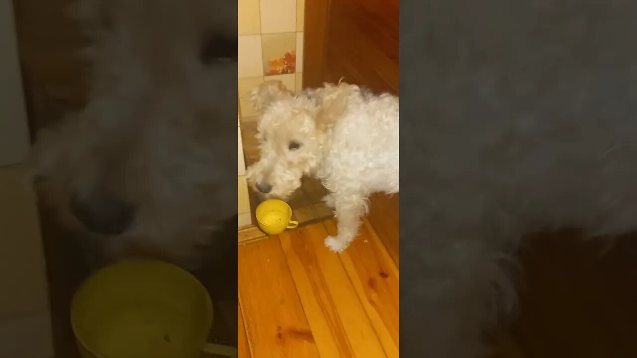 Foxik Julia, all for subscribers