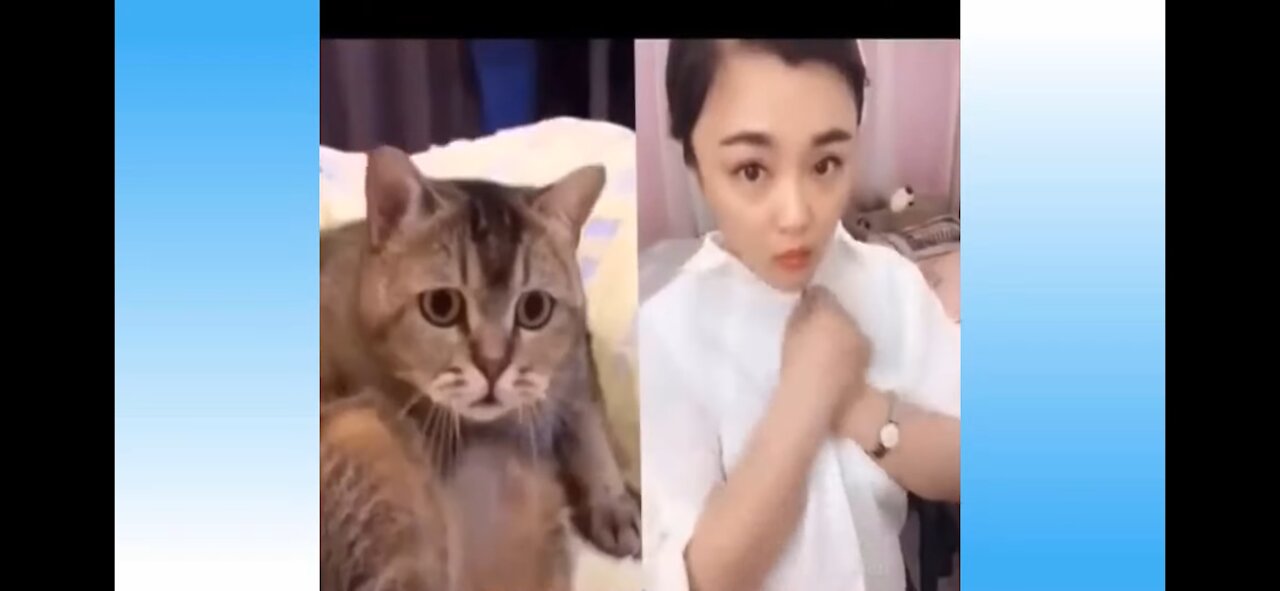 Try Not to Laugh Challenge 2021 I you definitely don't want to miss this funny Cat video compilation