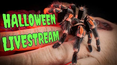 Halloween Livestream Giveaway!