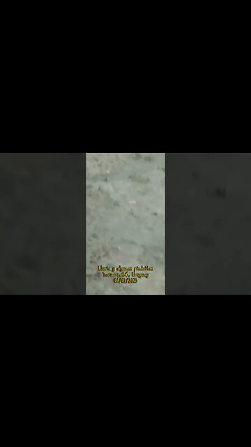 Lluvia y algunas piedritas en Tacuarembó, Uruguay (06/07/2023)