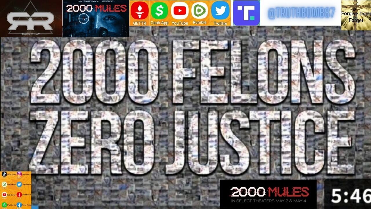 "2000 Felons & Zero Justice". A Reese Report review of Dinesh D’Souza’s 2000 Mules