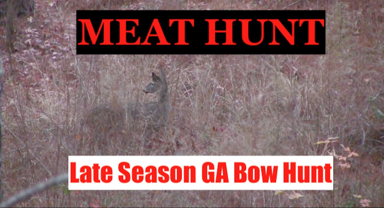 Middle Georgia PUBLIC LAND Bow Hunting: Big Doe Down!