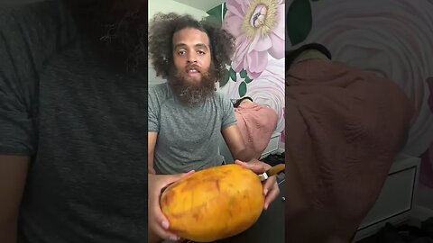 rock Mercury enjoys delicious, fresh papaya live